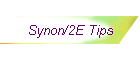 Synon/2E Tips